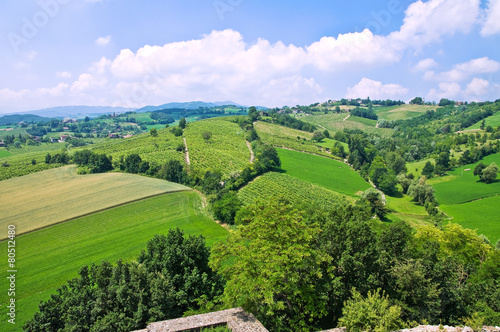 Fototapeta Naklejka Na Ścianę i Meble -  Panoramic view of Torrechiara. Emilia-Romagna. Italy.