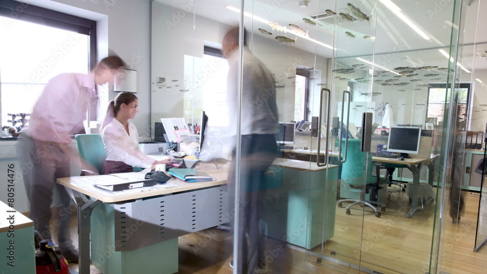 Time lapse of busy business group working in contemporary office building
Time lapse of busy business group working in contemporary office building