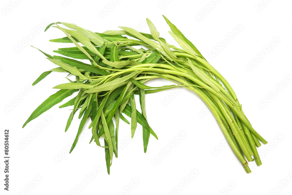 Fototapeta premium świeże białe łodygi Ipomoea na białym tle