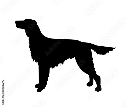 vector dog silhouette, irish setter