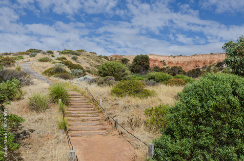 Staircase walkway through bush up the hill