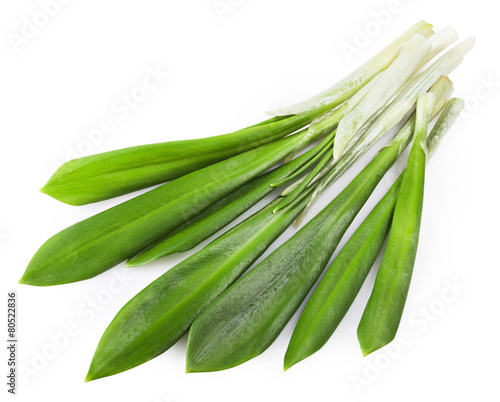 green wild garlic