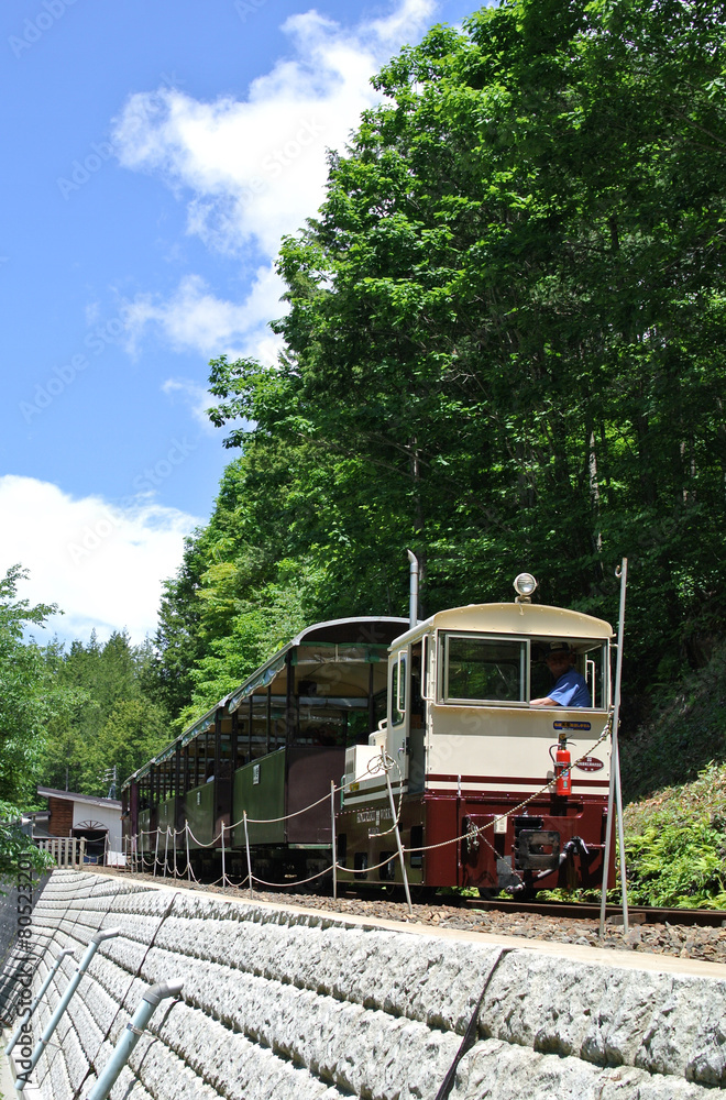 Naklejka premium 森林と鉄道