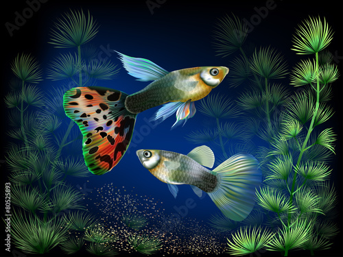 Underwater World