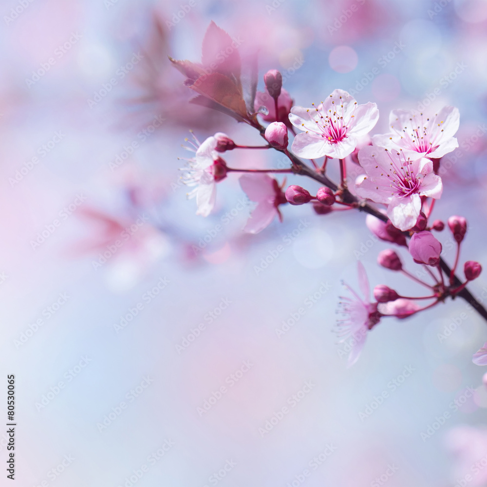 Beautiful floral border Beautiful floral border