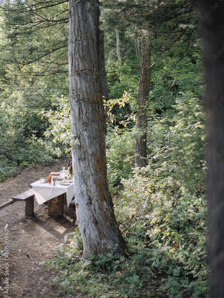 A picnic table set for a party with a cloth and glasses, in a woodland glade. A picnic table set for a party with a cloth and glasses, in a woodland glade.