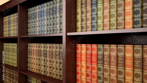 Schilderij op canvas Law. 3D. Law Library Books