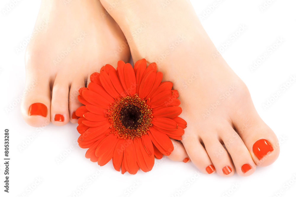 beautiful red manicured nails with gerbera beautiful red manicured nails with gerbera