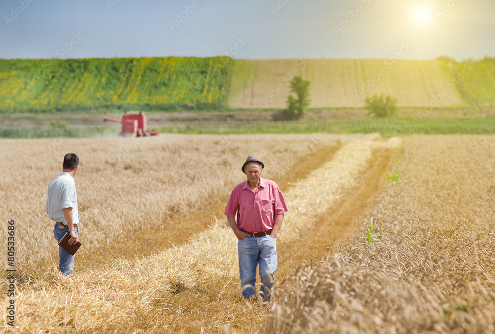 People on wheat field