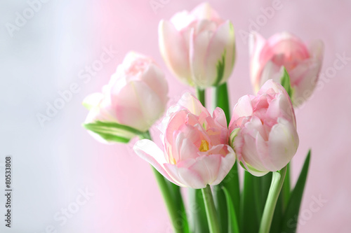 Fototapeta Naklejka Na Ścianę i Meble -  Beautiful spring flowers on light background