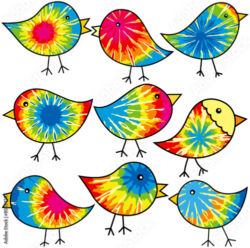 Hippy Chicks