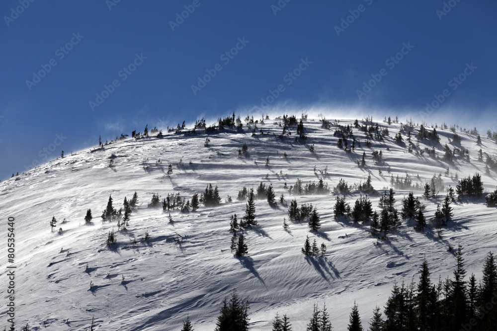 Winter Carpathian Mountains at wind day