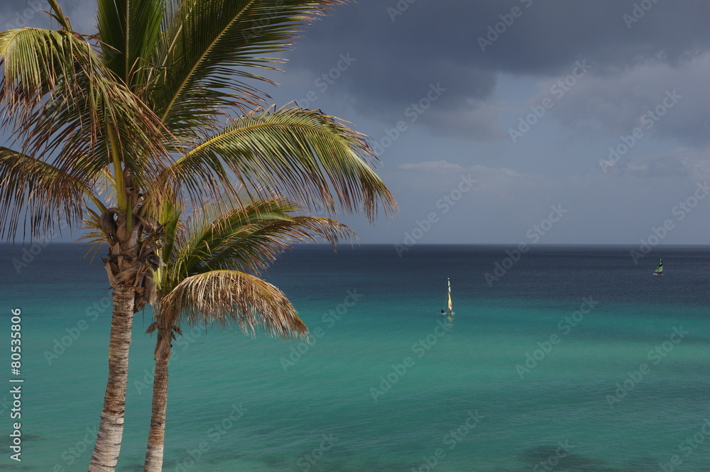 Fototapeta premium Palme auf Fuerteventura mit Segelboot 1
