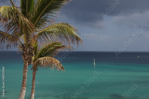 Palme auf Fuerteventura mit Segelboot 1 © Guido Miller