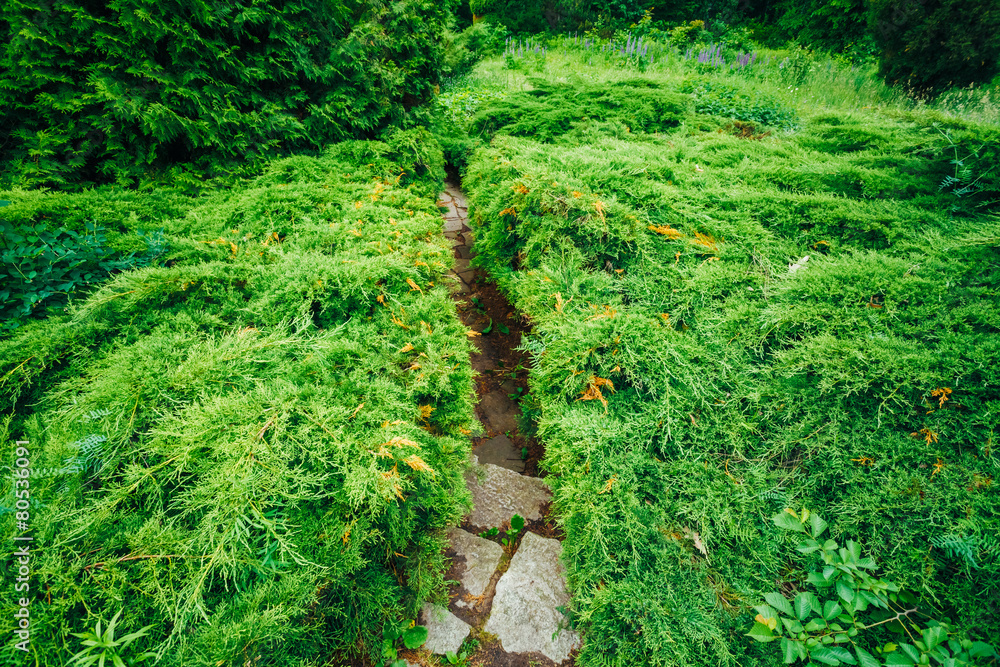 Beautiful Alley In Park. Garden Landscaping Design Beautiful Alley In Park. Garden Landscaping Design