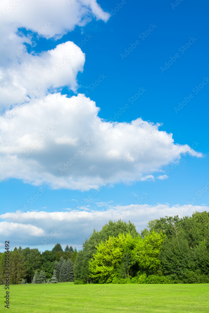 Green Fields and Blue Sky Green Fields and Blue Sky