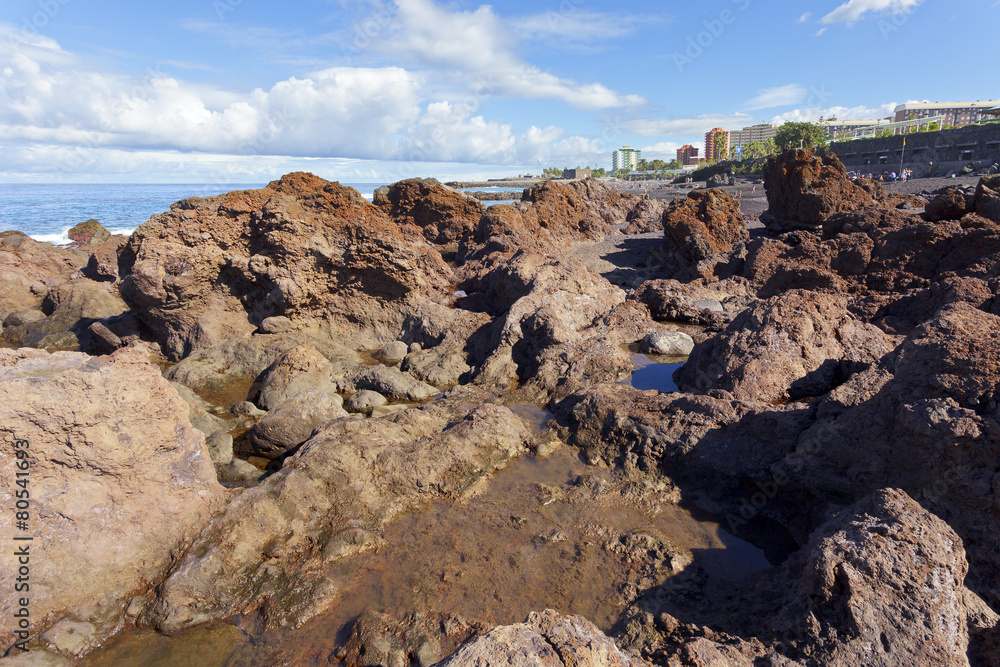 Rocky sea coast