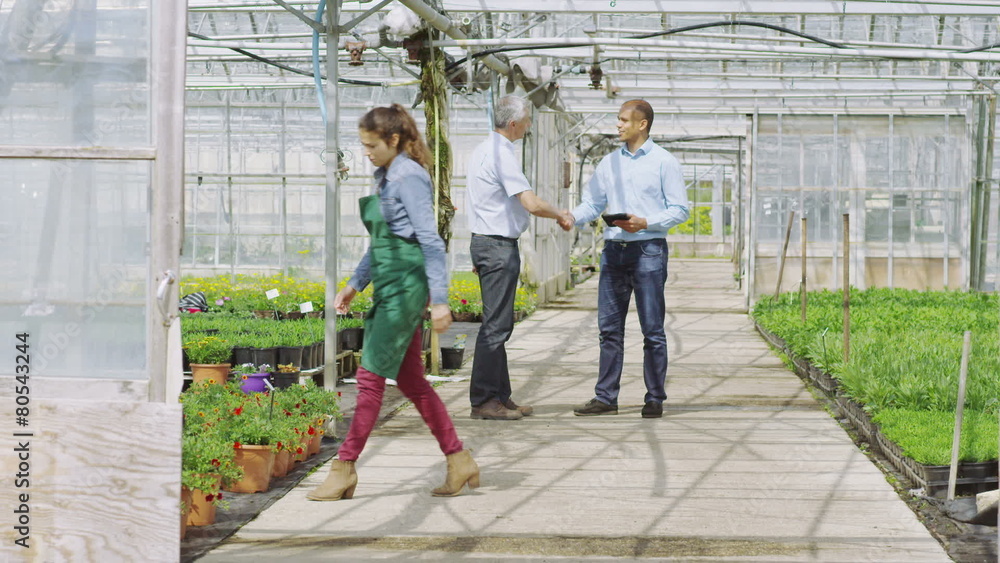 Businessmen in large plant nursery greenhouse shake hands on a deal. Businessmen in large plant nursery greenhouse shake hands on a deal.