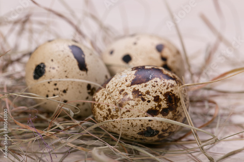 Easter eggs in a nest from a dry grass