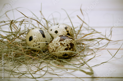 Easter eggs in a nest from a dry grass