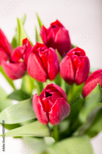 Red tulips on an antique wooden background