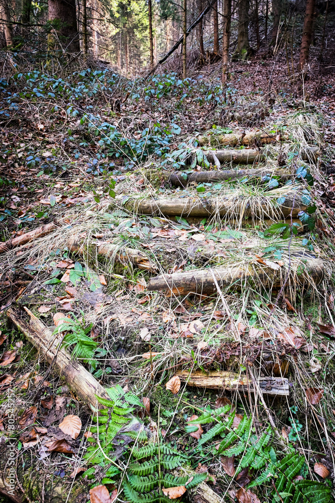 Obraz premium wooden steps