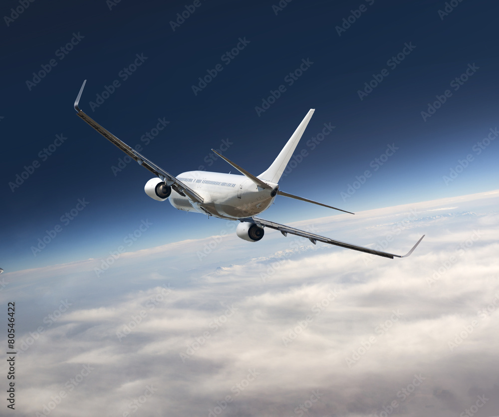 Obraz premium airplane flying