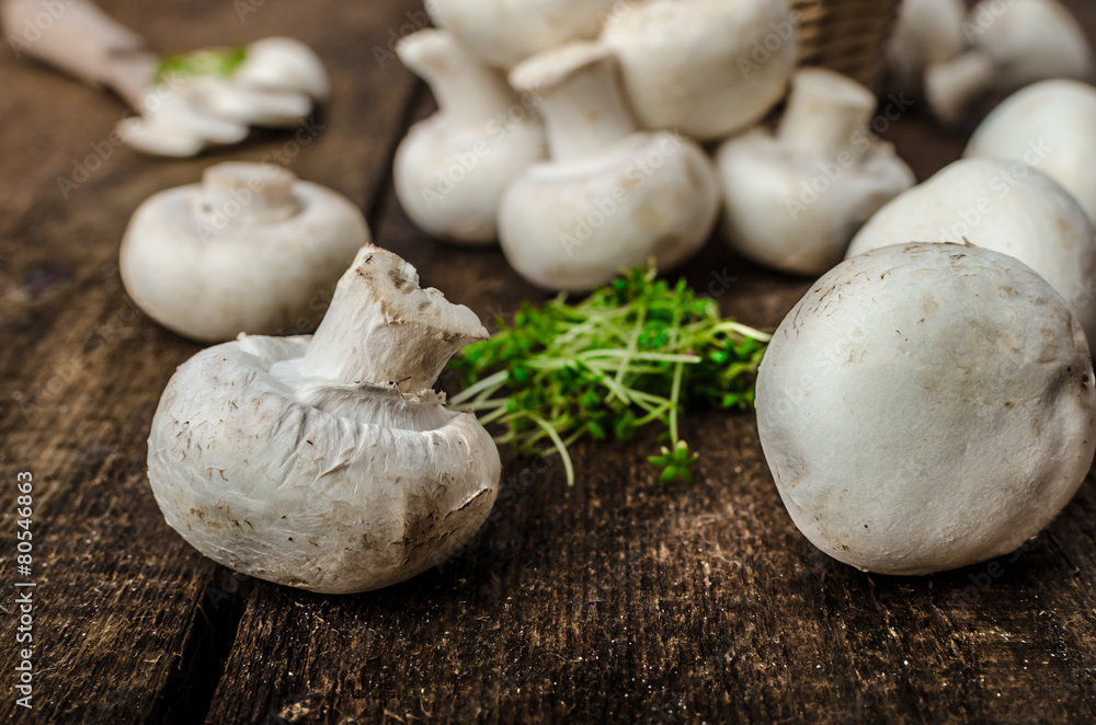 Mushrooms raw, fresh and bio Mushrooms raw, fresh and bio