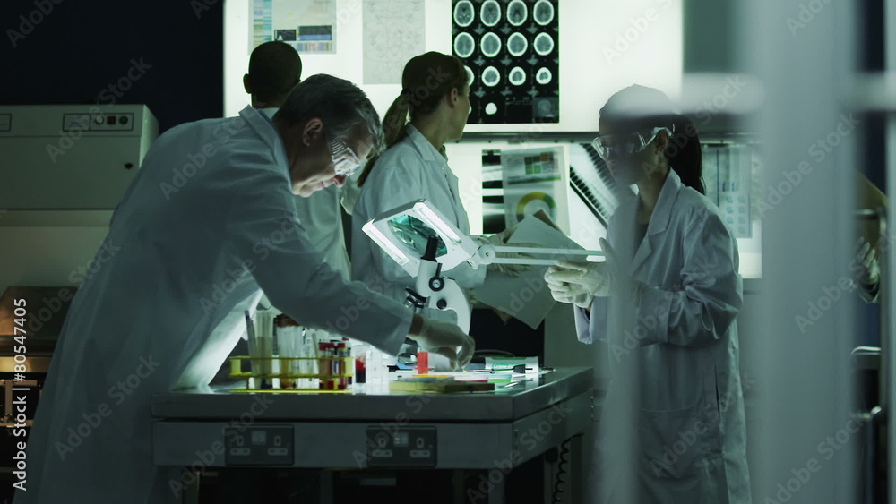 Multi ethnic scientific research team working in the lab Multi ethnic scientific research team working in the lab