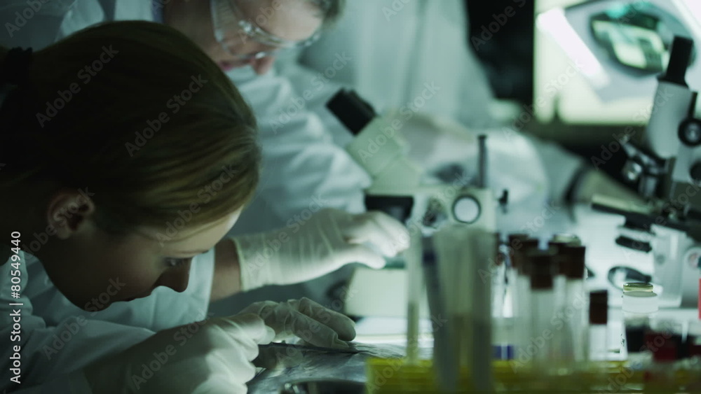 Experienced doctor working in the lab with young medical research students Experienced doctor working in the lab with young medical research students