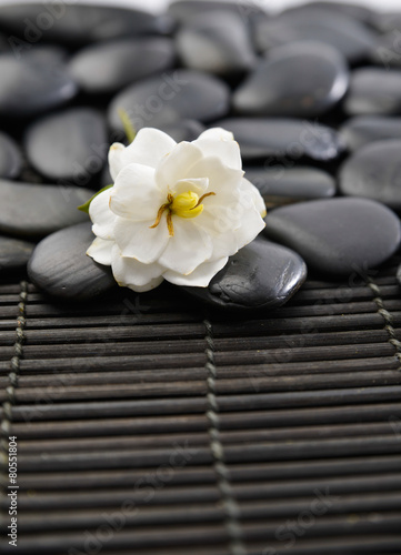 white gardenia flowers and pile of black stones on mat