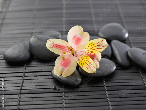 stones with orchid on bamboo mat