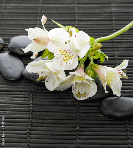 Fototapeta Naklejka Na Ścianę i Meble -  Branch white orchid and black stones on mat