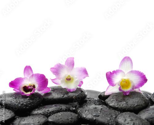 Still life with three orchid on wet zen stones