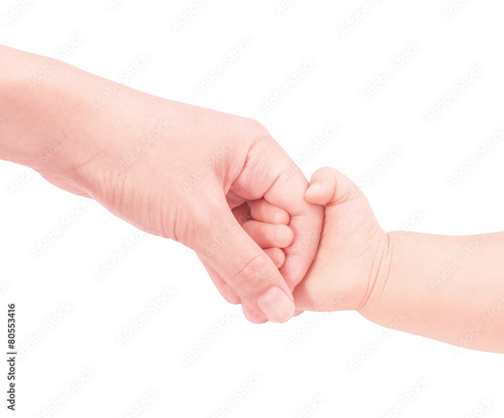 baby hand hold mother hand in softly and isolated on white backg baby hand hold mother hand in softly and isolated on white backg