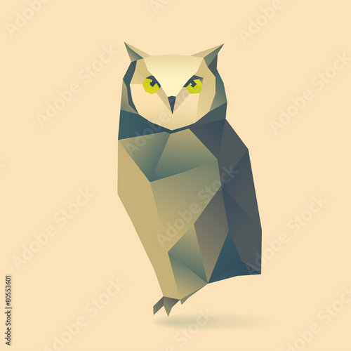 owl