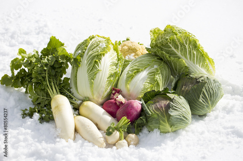 雪野菜