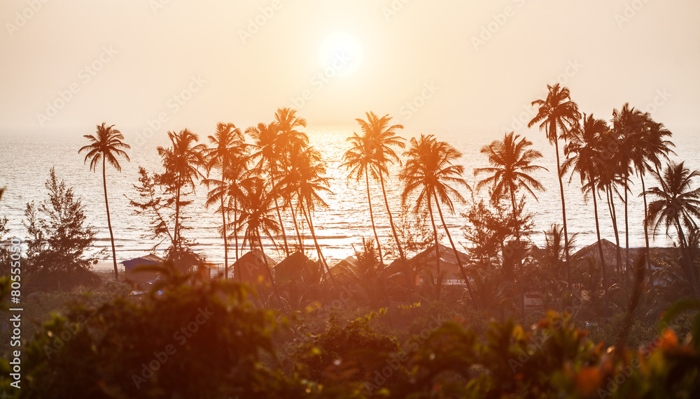 Silhouette of palm trees at Goa, India - obrazy, fototapety, plakaty 