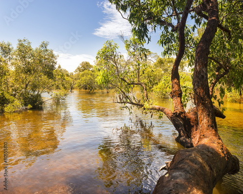 Myora Springs, important Aboriginal site of unique wetlands on Stradbroke Island, Queensland, Australia