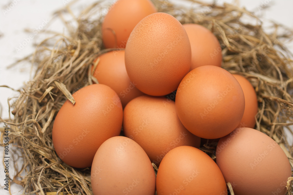 Fresh egg in Straw(Some fresh egg in straw Macro shoot) Fresh egg in Straw(Some fresh egg in straw Macro shoot)