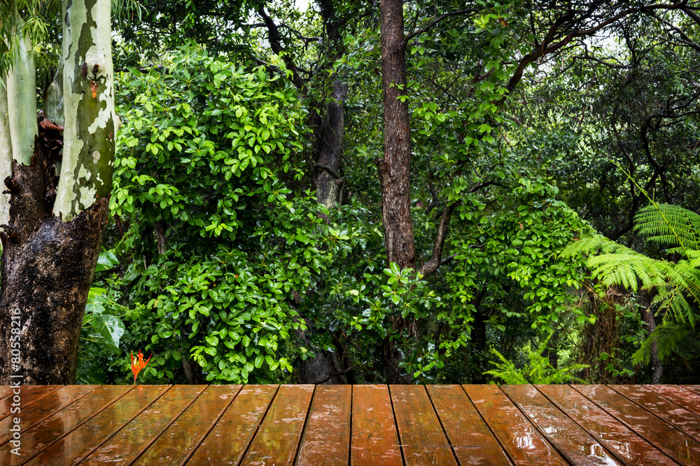 Naklejka premium Wooden Floor and Forest