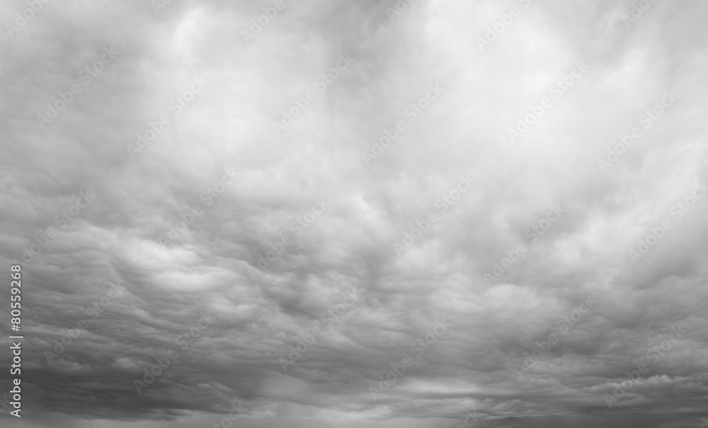 Grey overcast sky - obrazy, fototapety, plakaty 