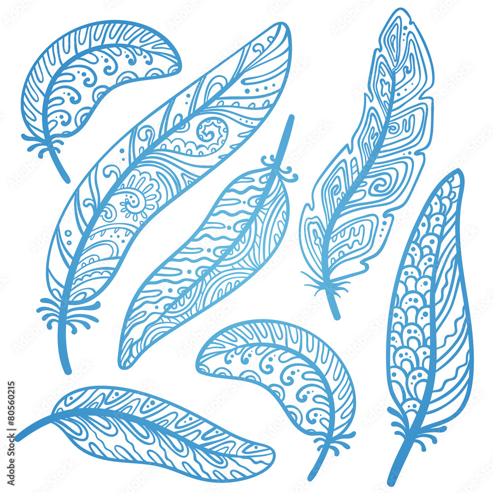 Obraz premium Vector colored feathers set.