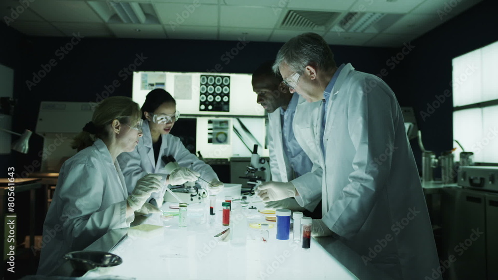 Multi ethnic medical research team working in the lab Multi ethnic medical research team working in the lab