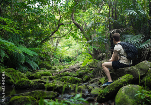 Man trekking through dense tropical rainforest and jungle greenery in Iriomote island, Okinawa prefecture, tropical Japan photo