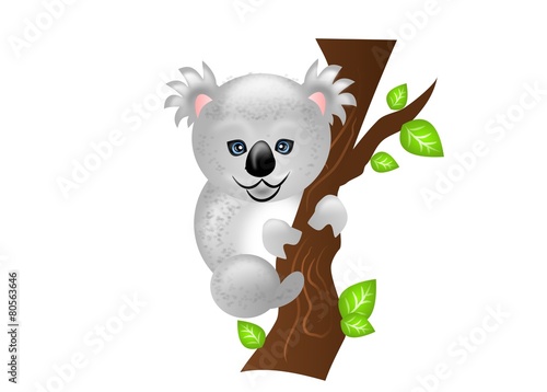 Fototapeta Naklejka Na Ścianę i Meble -  Koala bear