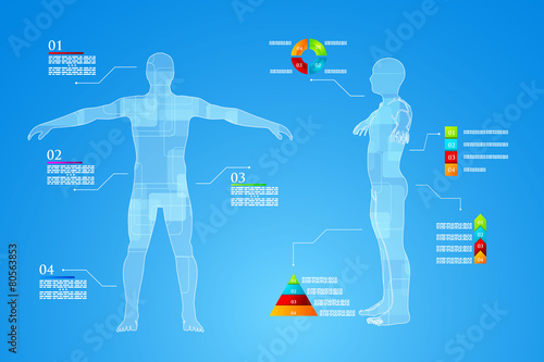 Infographics Human Body Anatomy