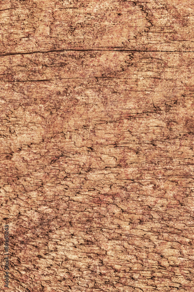 Old Rough Treated Knotted Pine Wood Plank Mottled Grunge Texture Old Rough Treated Knotted Pine Wood Plank Mottled Grunge Texture