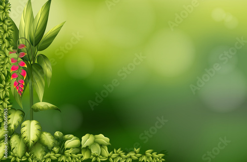 Spring background