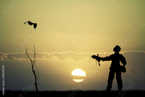 falconry at sunset